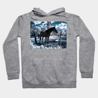 Snow Ponies Hoodie